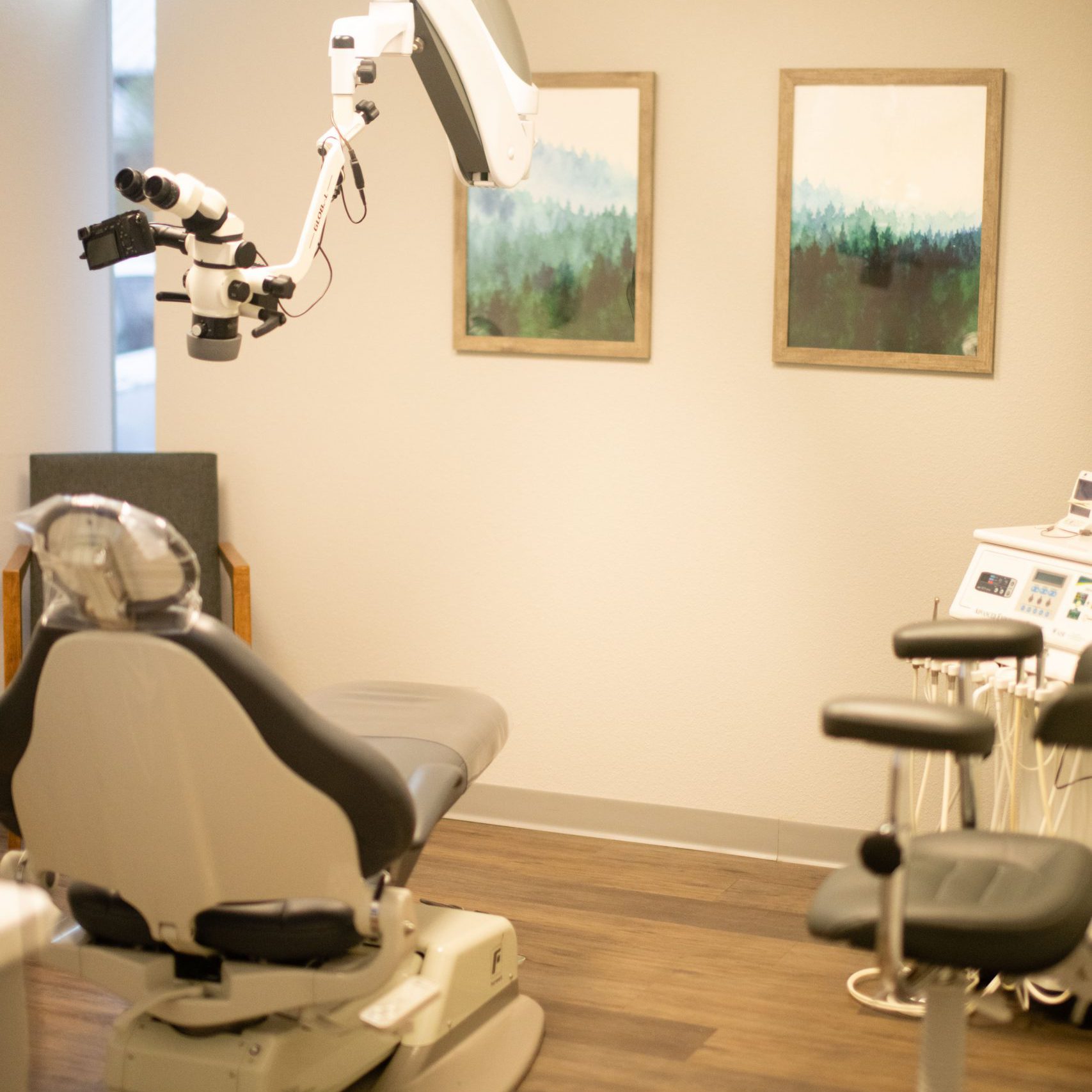 Piney Woods Endodontics Piney Woods Endodontics